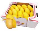 Atulfo Mango Box Supply