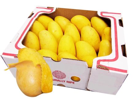 Atulfo Mango Box Supply