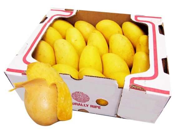 Atulfo Mango Box Supply