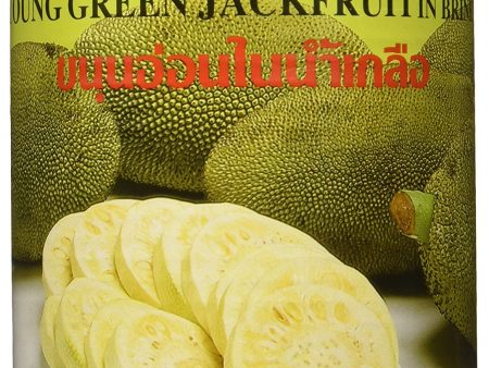 Young Green Jackfruit in Brine For Cheap