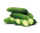 Small Cucumber Discount