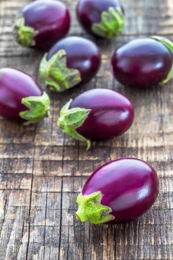 Small Eggplant Discount