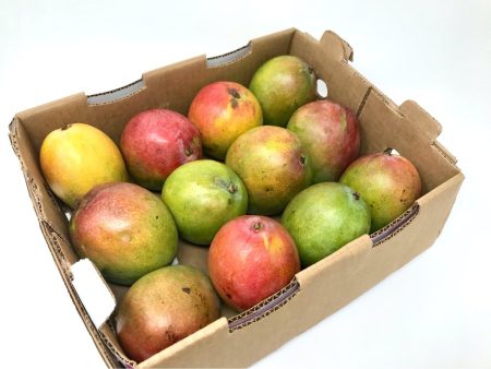 Hayden Kent Mango Box Discount