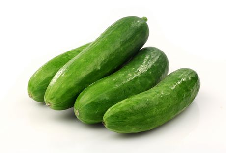 Small Cucumber Discount