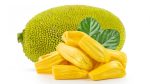 Green Jackfruit Supply