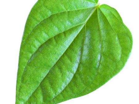 Paan Leaves Online