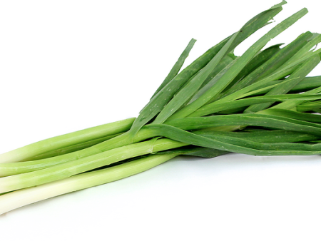 Green Garlic Online now