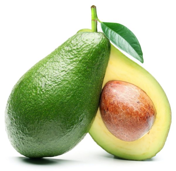 Avocado For Cheap