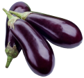 American Eggplant on Sale