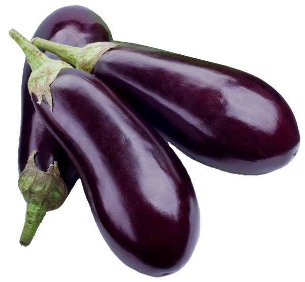 American Eggplant on Sale