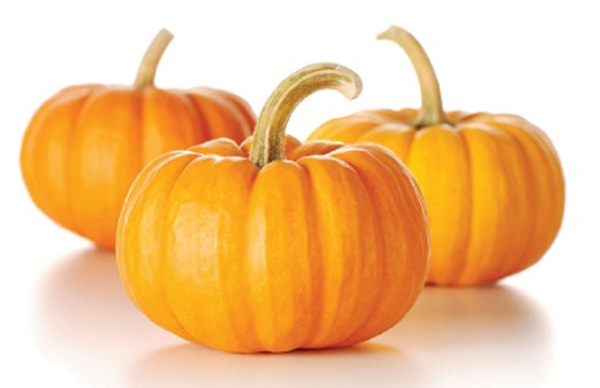 Yellow Pumpkin Cheap