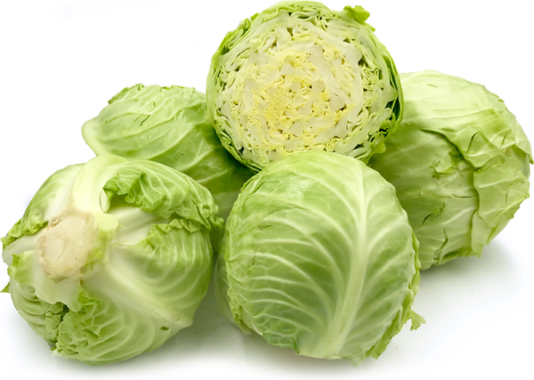 Cabbage Hot on Sale