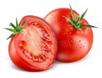 Tomato Online now