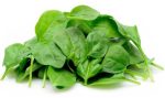 Spinach Bag Cheap