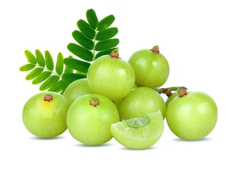 Amla Online now