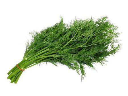 Dill Leaves For Sale