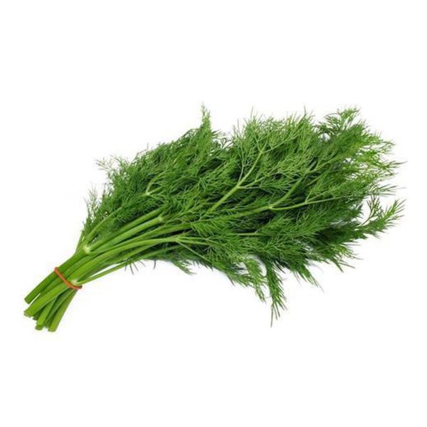 Dill Leaves For Sale