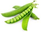 Green Peas Supply