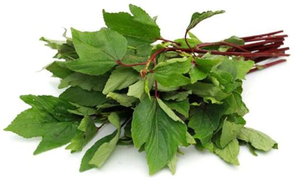 Gongura Leaves on Sale