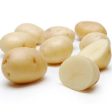 Small White Potato Online Hot Sale