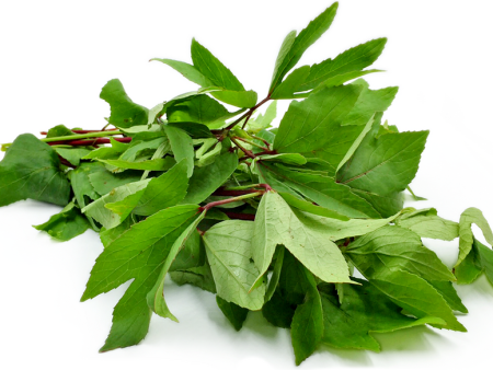 Gongura Leaves on Sale