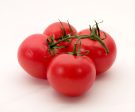 Tomato Online now