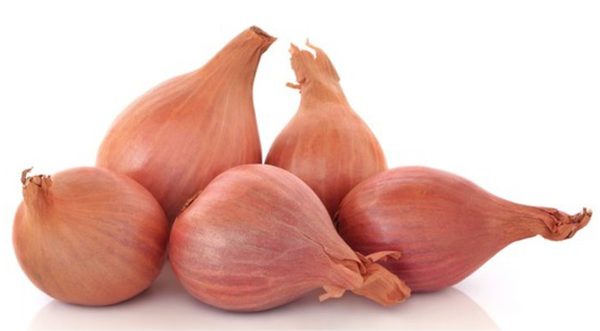 Shallot Onions Bag For Discount