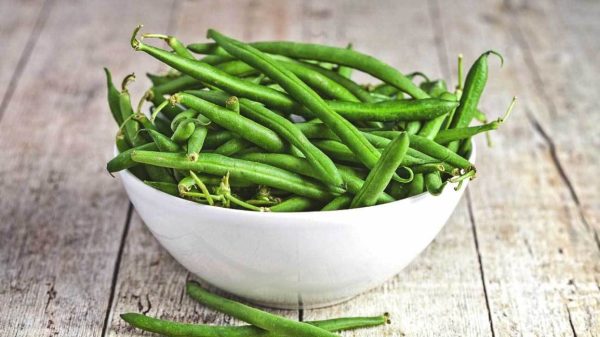 Green Beans For Sale