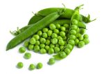 Green Peas Supply