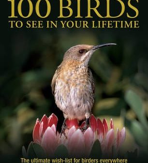 David Chandler: 100 Birds to See in Your Lifetime [2011] paperback Online