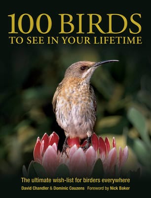 David Chandler: 100 Birds to See in Your Lifetime [2011] paperback Online