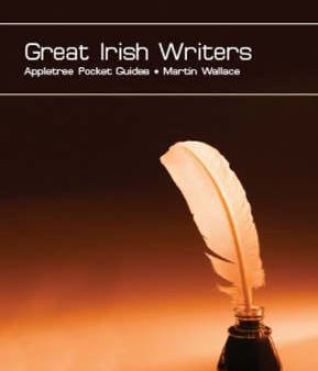 Martin Wallace: Great Irish Writers [2007] paperback Hot on Sale